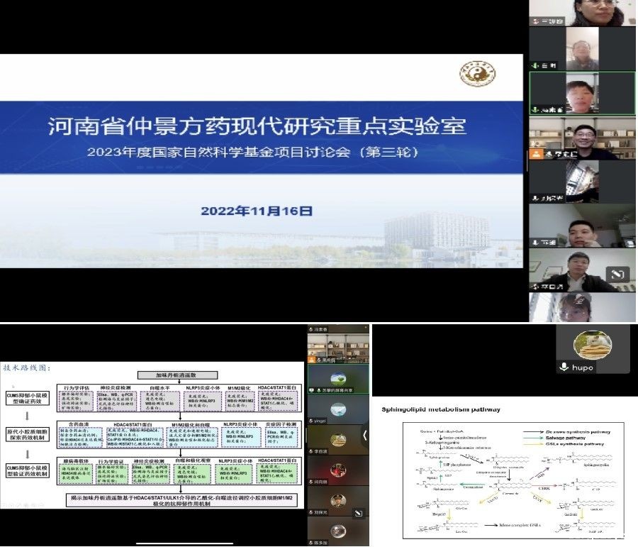仲景方药现代研究重点实验室召开2023年度国家自然科学基金项目研讨会（第三轮）