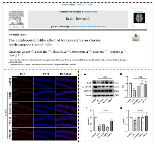 许二平教授团队首次发现芒柄花黄素的抗抑郁作用